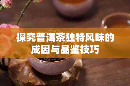 探究普洱茶独特风味的成因与品鉴技巧