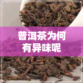 普洱茶为何有异味呢