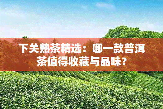 下关熟茶精选：哪一款普洱茶值得收藏与品味？