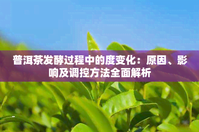 普洱茶发酵过程中的度变化：原因、影响及调控方法全面解析