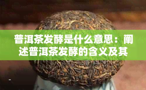 普洱茶发酵是什么意思：阐述普洱茶发酵的含义及其作用原理。