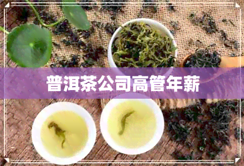 普洱茶公司高管年薪