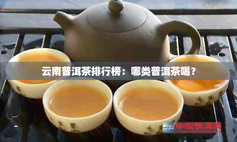 云南普洱茶排行榜：哪类普洱茶喝？