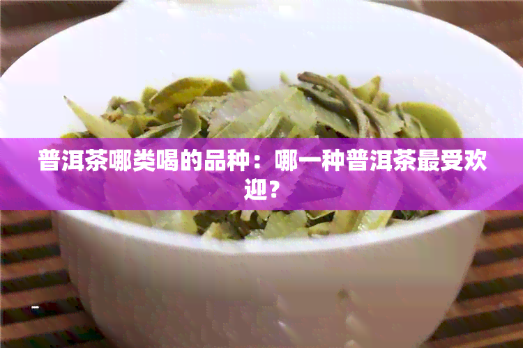 普洱茶哪类喝的品种：哪一种普洱茶更受欢迎？