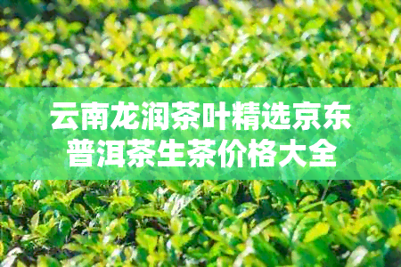 云南龙润茶叶精选京东普洱茶生茶价格大全