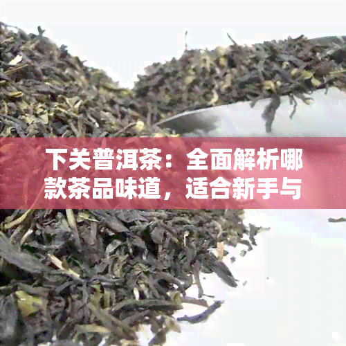 下关普洱茶：全面解析哪款茶品味道，适合新手与老茶友的推荐