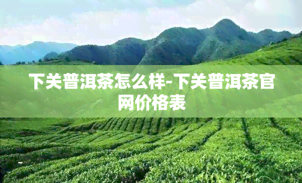 下关普洱茶怎么样-下关普洱茶官网价格表