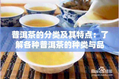 普洱茶的分类及其特点：了解各种普洱茶的种类与品质