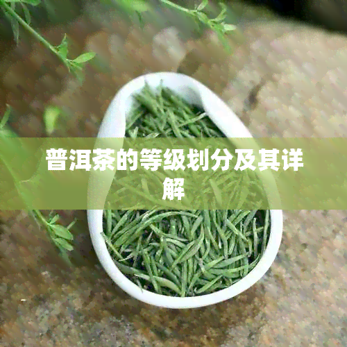 普洱茶的等级划分及其详解