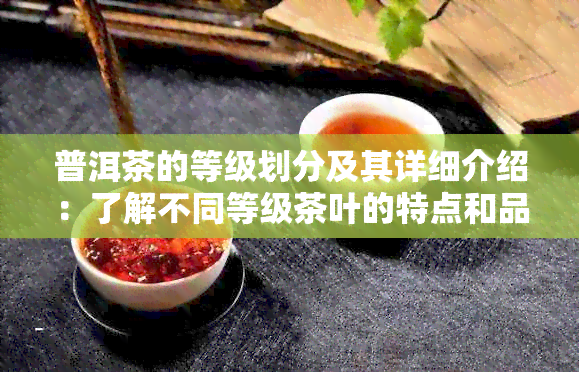 普洱茶的等级划分及其详细介绍：了解不同等级茶叶的特点和品质