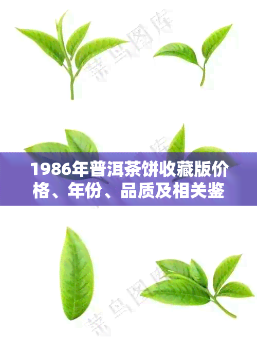 1986年普洱茶饼收藏版价格、年份、品质及相关鉴知识全面解析