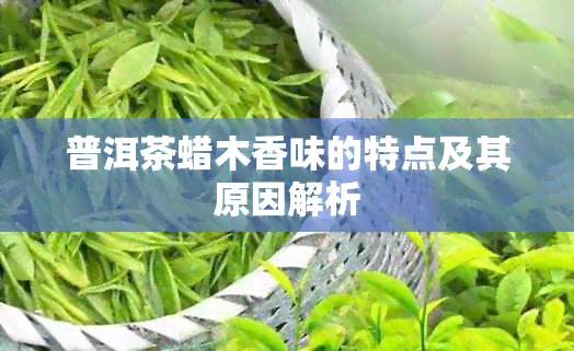 普洱茶蜡木香味的特点及其原因解析