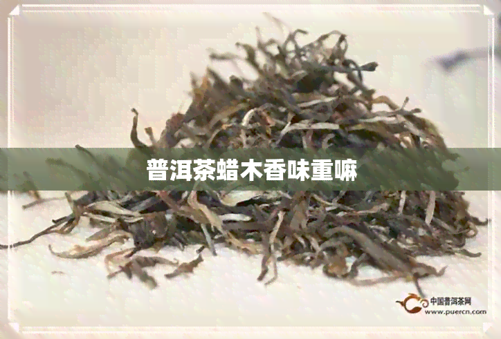 普洱茶蜡木香味重嘛