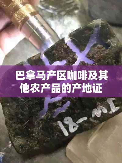 巴拿马产区咖啡及其他农产品的产地证