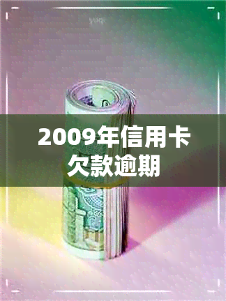 2009年信用卡欠款逾期