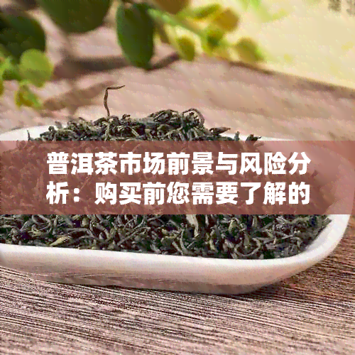 普洱茶市场前景与风险分析：购买前您需要了解的关键因素