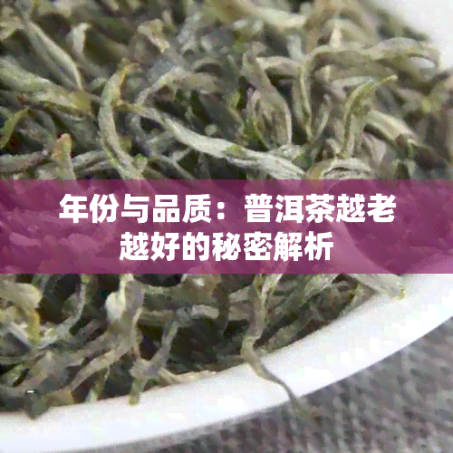 年份与品质：普洱茶越老越好的秘密解析