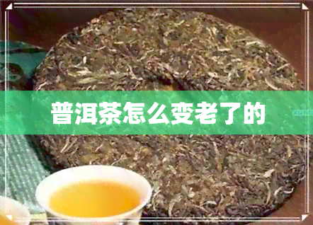 普洱茶怎么变老了的