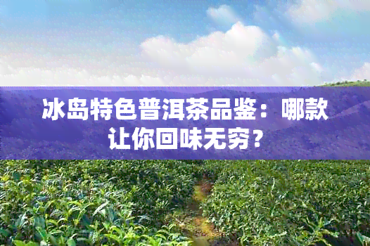 冰岛特色普洱茶品鉴：哪款让你回味无穷？