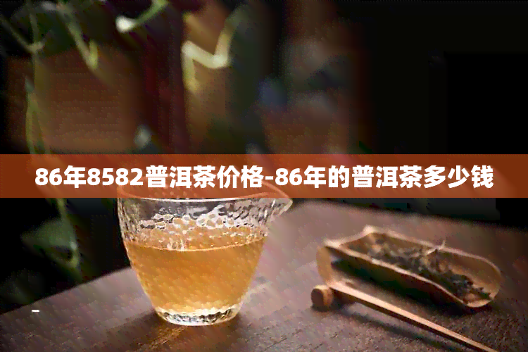 86年8582普洱茶价格-86年的普洱茶多少钱