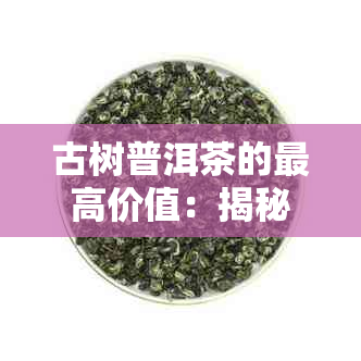 古树普洱茶的更高价值：揭秘其独特魅力与市场地位