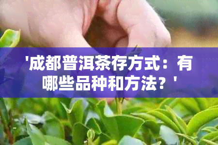 '成都普洱茶存方式：有哪些品种和方法？'