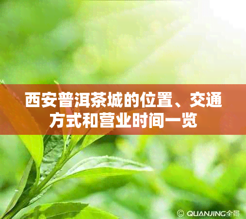 西安普洱茶城的位置、交通方式和营业时间一览