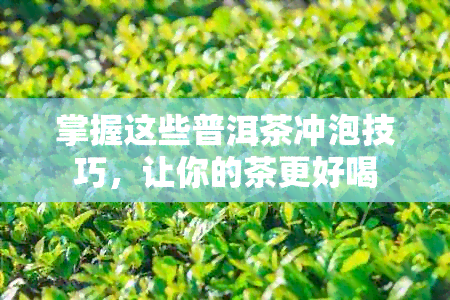 掌握这些普洱茶冲泡技巧，让你的茶更好喝