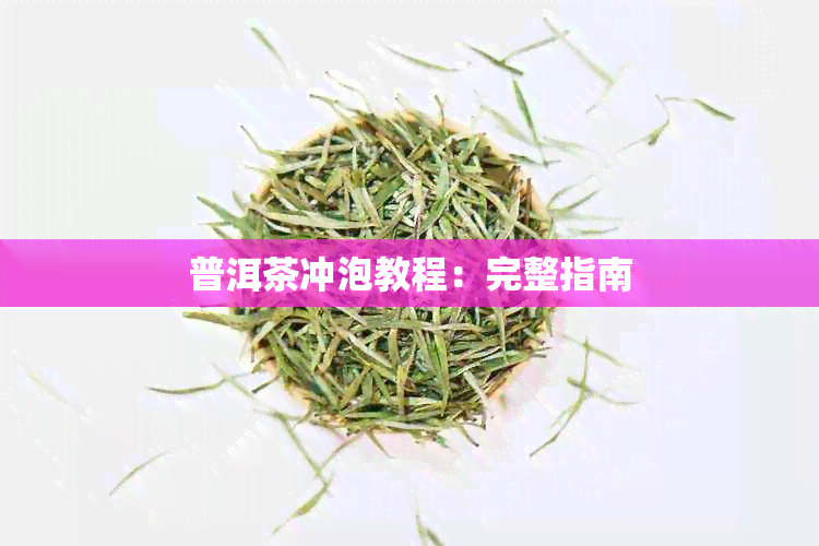 普洱茶冲泡教程：完整指南