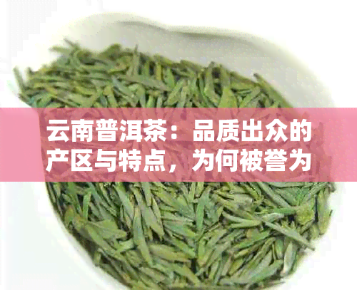 云南普洱茶：品质出众的产区与特点，为何被誉为口碑？