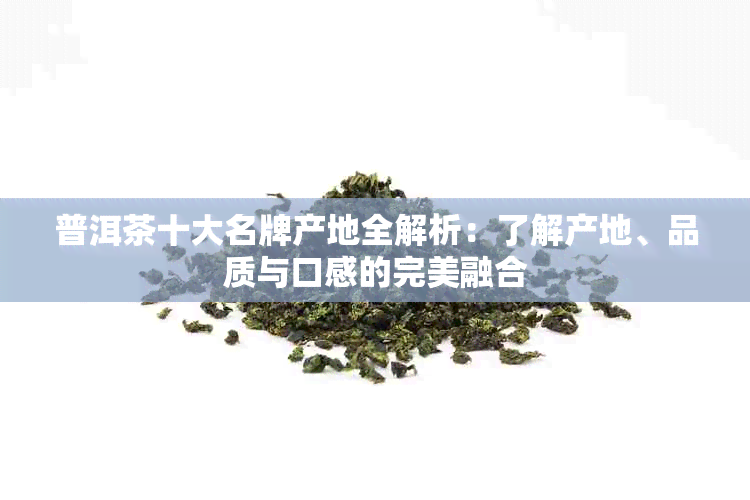 普洱茶十大名牌产地全解析：了解产地、品质与口感的完美融合