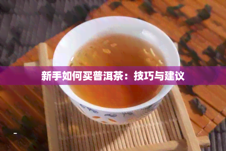 新手如何买普洱茶：技巧与建议