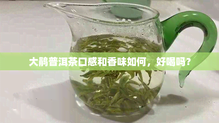 大鹃普洱茶口感和香味如何，好喝吗？