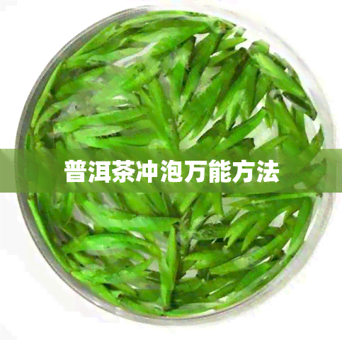 普洱茶冲泡万能方法