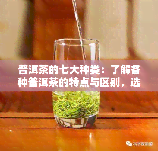 普洱茶的七大种类：了解各种普洱茶的特点与区别，选择适合自己的茶品