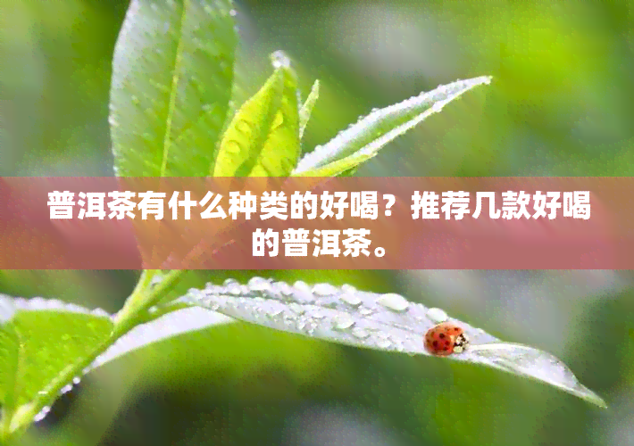 普洱茶有什么种类的好喝？推荐几款好喝的普洱茶。