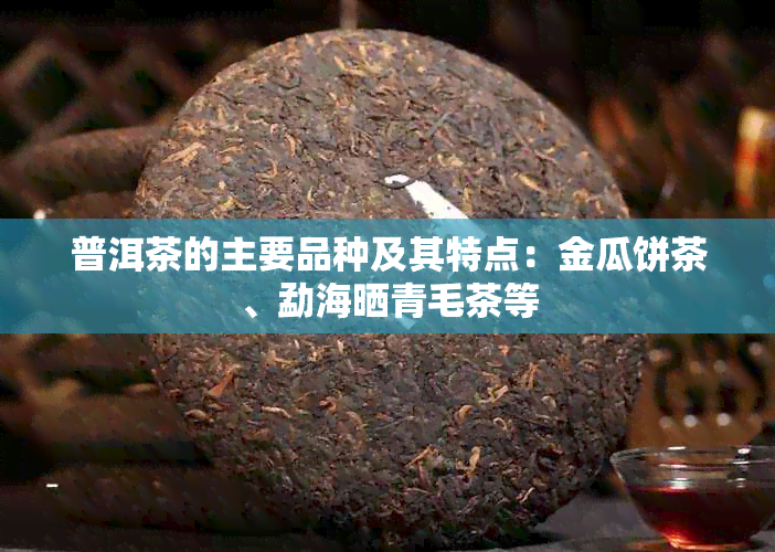 普洱茶的主要品种及其特点：金瓜饼茶、勐海晒青毛茶等