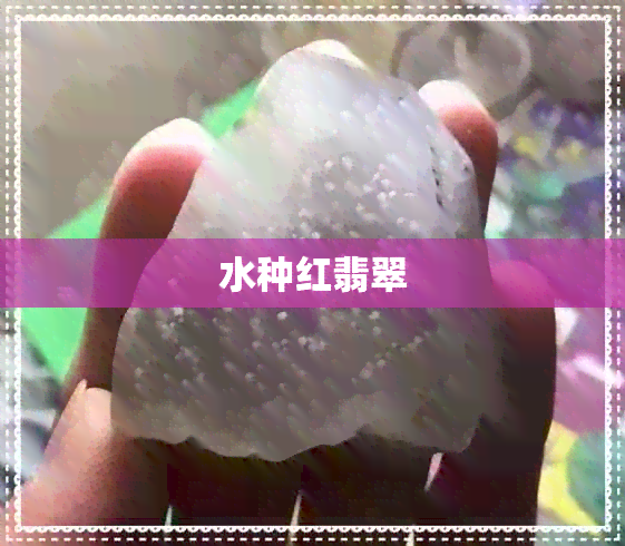 水种红翡翠