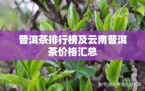 普洱茶排行榜及云南普洱茶价格汇总