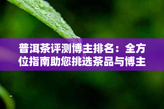 普洱茶评测博主排名：全方位指南助您挑选茶品与博主