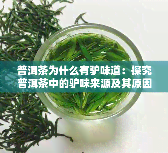 普洱茶为什么有驴味道：探究普洱茶中的驴味来源及其原因