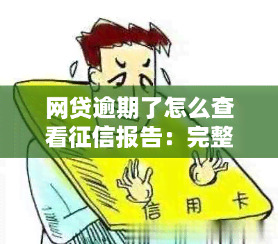 网贷逾期了怎么查看报告：完整查询步骤与结果解读