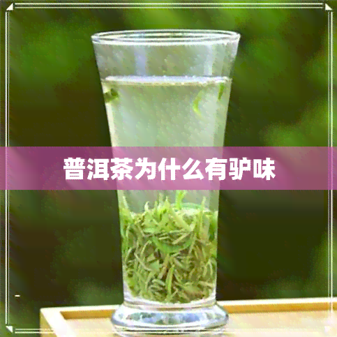 普洱茶为什么有驴味