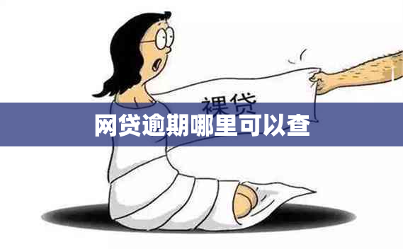 网贷逾期哪里可以查