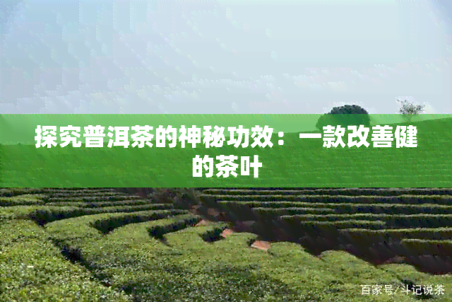 探究普洱茶的神秘功效：一款改善健的茶叶