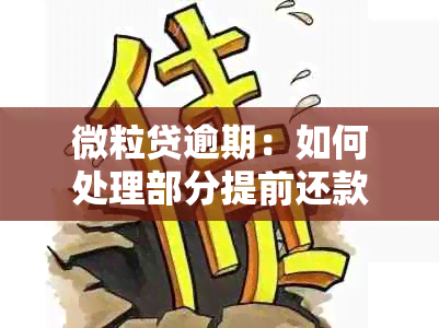 微粒贷逾期：如何处理部分提前还款，是否可以仅还其中一笔借款？