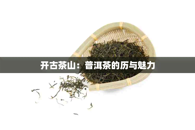 开古茶山：普洱茶的历与魅力