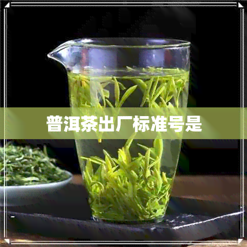 普洱茶出厂标准号是