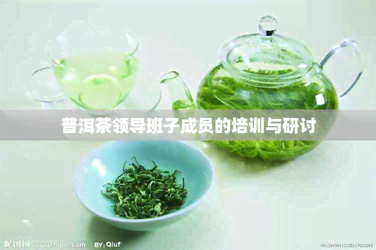 普洱茶领导班子成员的培训与研讨