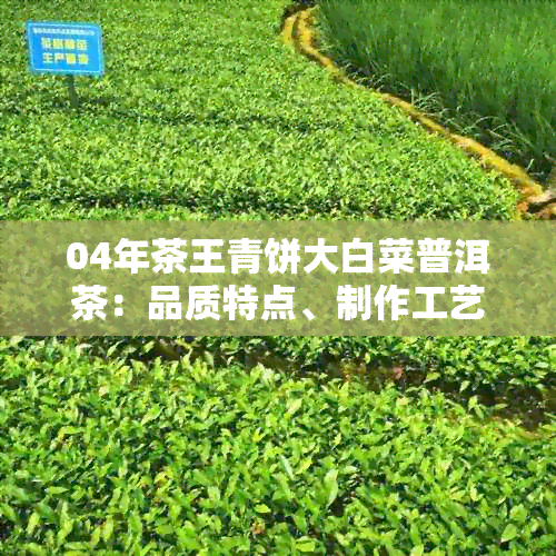 04年茶王青饼大白菜普洱茶：品质特点、制作工艺与品饮体验详解